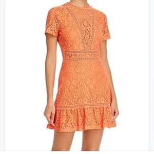 NWT Orange Lace Dress A-Line Aqua Dress - S